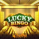 Lucky Bingo